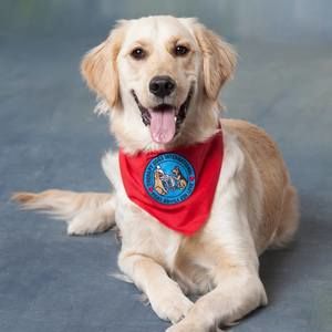 Meet your Posher, Olga